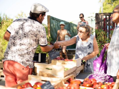 TENTE 5 personnes - Tente Insolite Nature Confort Lodge 2 ch - Sans sanitaires