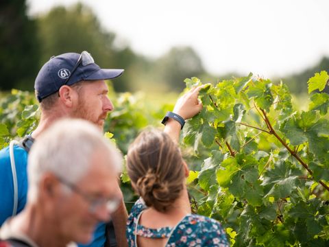TENTE 5 personnes - Tente Insolite Nature Confort Lodge 2 ch - Sans sanitaires