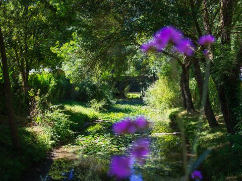 MOBILHOME 2 personnes - Cottage Privilège 1 ch -  TV