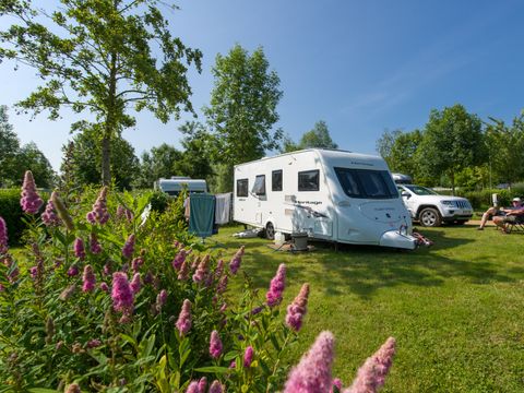 Camping Sites et Paysages - L'Etang de Brissac  - Camping Maine-et-Loire - Image N°14
