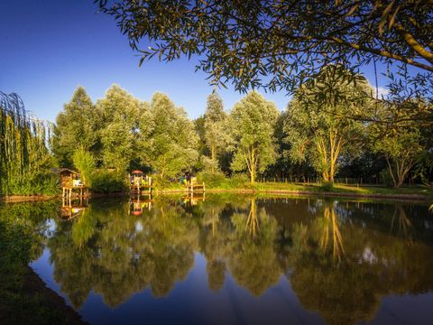 Camping Sites et Paysages - L'Etang de Brissac  - Camping Maine-et-Loire - Image N°15