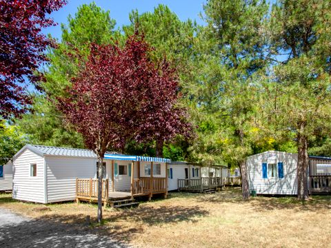 Camping Le Razay - Camping Loire-Atlantique - Image N°3