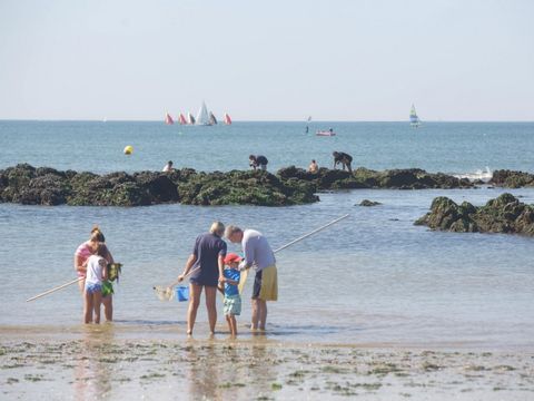 Camping Le Razay - Camping Loire-Atlantique - Image N°8