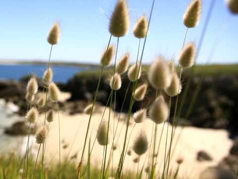 Camping Bontempo Village Piriac - Camping Loire-Atlantique - Image N°26