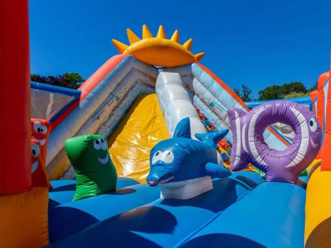 Flower Camping  Les Granges - Camping Indre-et-Loire - Image N°30