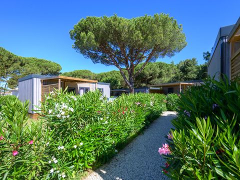 MOBILHOME 4 personnes - OCEANE PREMIUM 2 chambres