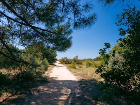 Camping Les Varennes - Camping Charente-Maritime - Image N°21