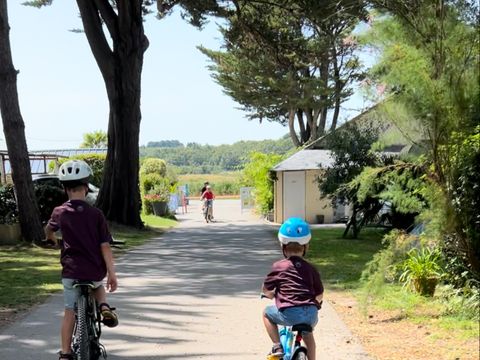 Camping Au Soir D'ete - Camping Loire-Atlantique - Image N°31