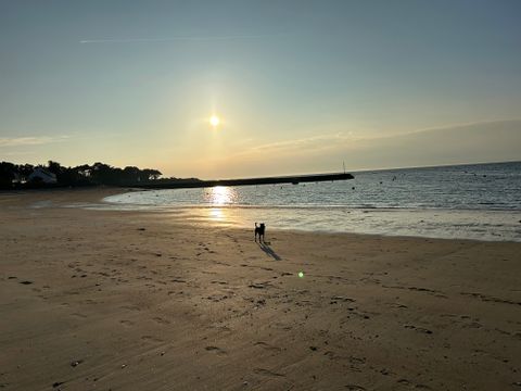 Camping Au Soir D'ete - Camping Loire-Atlantique - Image N°64