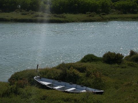 Camping Au Soir D'ete - Camping Loire-Atlantique - Image N°72