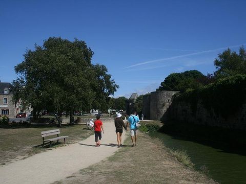 Camping Au Soir D'ete - Camping Loire-Atlantique - Image N°61