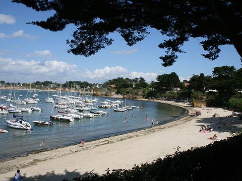 Camping Au Soir D'ete - Camping Loire-Atlantique - Image N°71