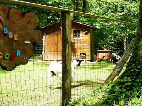 Camping du Bois de Beaumard - Camping Loire-Atlantique - Image N°9