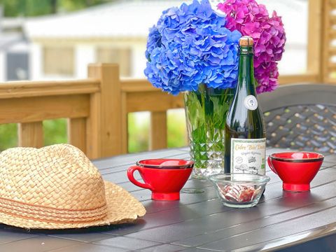 MOBILHOME 4 personnes - Mobil-Home COSY 2 chambres