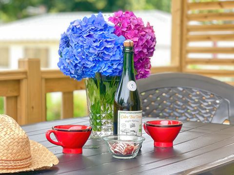 MOBILHOME 2 personnes - Mobil-Home P'TIT COSY 1 chambre