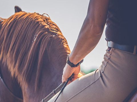 Camping du Goh'velin - Camping Morbihan - Image N°9