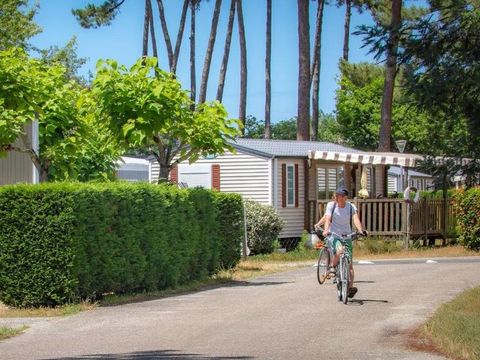 Camping Les Goélands - Camping Gironde - Image N°15