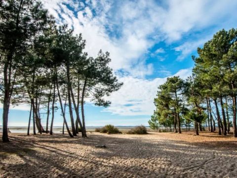 MOBILHOME 4 personnes - Confort 3 Pièces 4 Personnes + TV