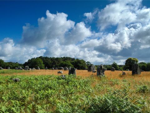Camping du Menhir - Camping Morbihan - Image N°26