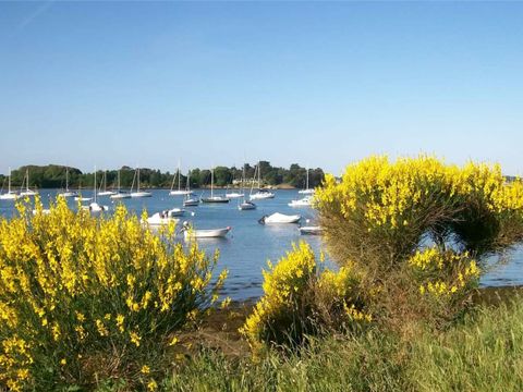 Camping du Menhir - Camping Morbihan - Image N°29