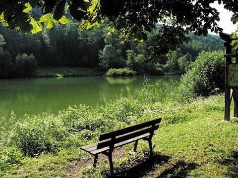 Camping les Lupins - Camping Haut-Rhin - Image N°4