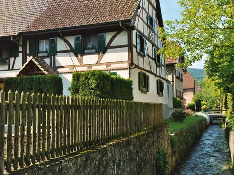 Camping les Lupins - Camping Haut-Rhin - Image N°8