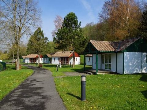 Camping les Lupins - Camping Haut-Rhin - Image N°7