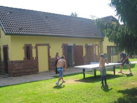 Camping les Lupins - Camping Haut-Rhin - Image N°5