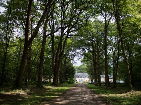 Hébergement 4 personnes - GLAMPING BARREL sans sanitaires