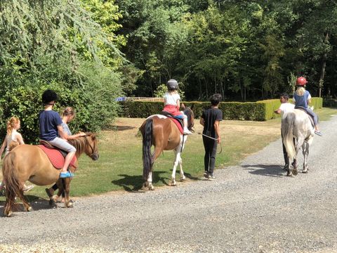 Camping L'Orangerie de Beauregard - Camping Indre-et-Loire - Image N°36