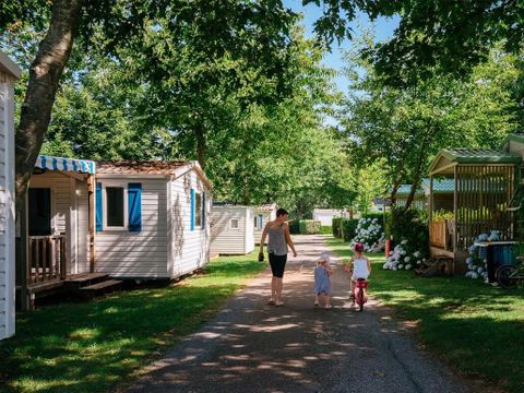 Flower Camping La Blanche Hermine - Camping Morbihan - Image N°5