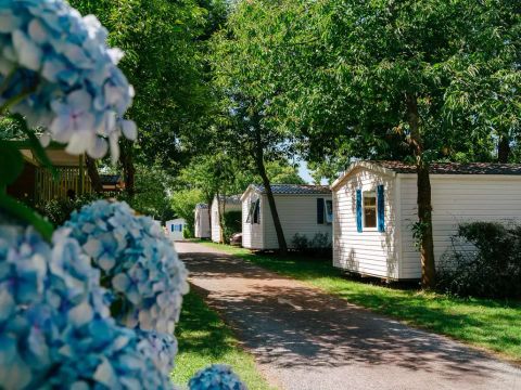 Flower Camping La Blanche Hermine - Camping Morbihan - Image N°14