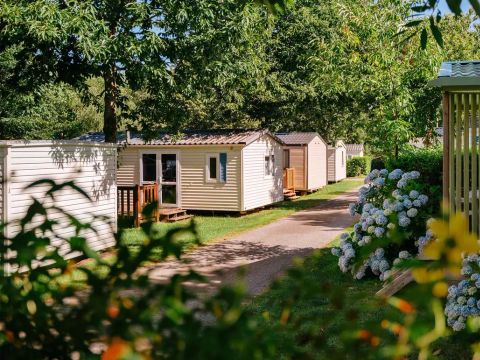 Flower Camping La Blanche Hermine - Camping Morbihan - Image N°34
