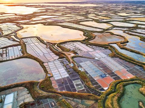 Flower Camping La Blanche Hermine - Camping Morbihan - Image N°41