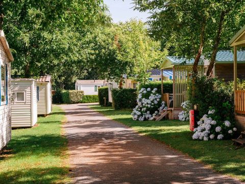 Flower Camping La Blanche Hermine - Camping Morbihan - Image N°33