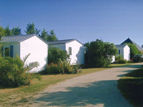 Camping La Ferme Fleurie - Camping Morbihan - Image N°4