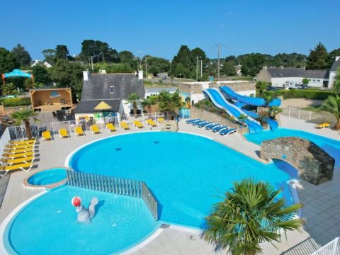 Camping Paradis - Les Palmiers - Camping Morbihan