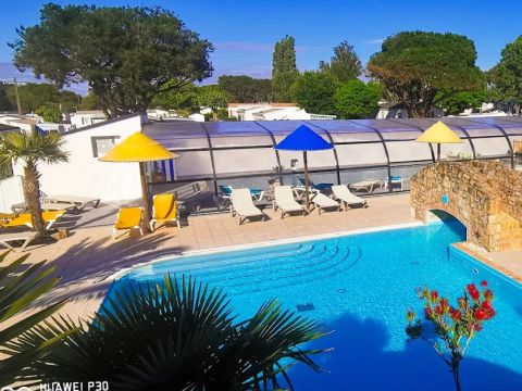 Camping Paradis - Les Palmiers - Camping Morbihan - Image N°4