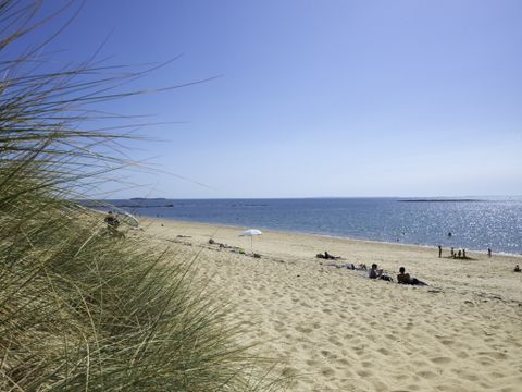 Camping Penn Mar - Camping Morbihan - Image N°15