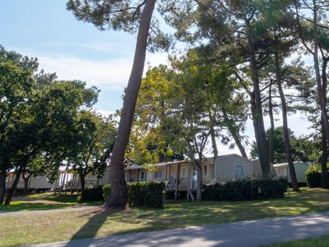 Camping Penn Mar - Camping Morbihan - Image N°12