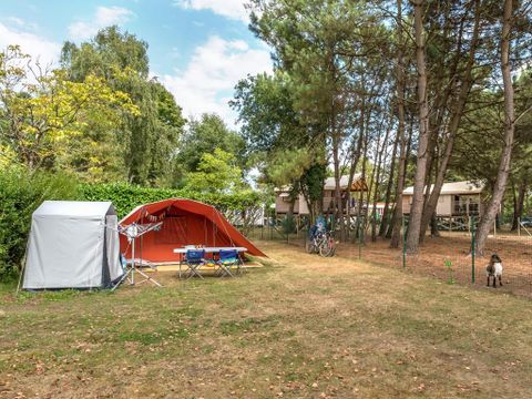 Emplacement - Emplacement nu Forfait 2 pers : avec électricité + véhicule (maxi 4 adultes)