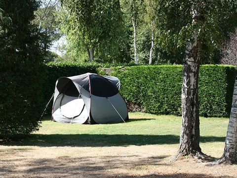 Emplacement - Emplacement nu Forfait 2 pers : avec électricité + véhicule (maxi 4 adultes)