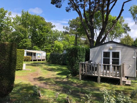 MOBILHOME 2 personnes - CLASSIC 18-1  >10ans - maxi 2 adultes - TV, 1 chambre, environ 18m²