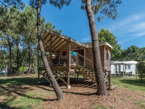 HÉBERGEMENT INSOLITE 5 personnes - INSOLITE 25-2 (Cabane sur pilotis Ecologe) >10ans  ; maxi 4 adultes (Lits superposés) TV