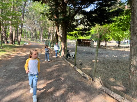 Camping Les Bruyères Carnac - Camping Morbihan - Image N°33