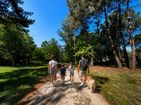 Camping Les Pirates de Carnac - Camping Morbihan - Image N°113