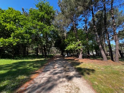 Camping Les Bruyères Carnac - Camping Morbihan - Image N°181