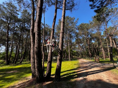 Camping Les Bruyères Carnac - Camping Morbihan - Image N°182