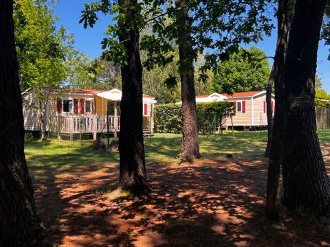 Camping Les Bruyères Carnac - Camping Morbihan - Image N°207