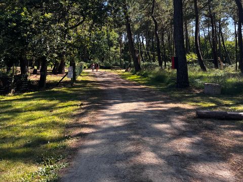 Camping Les Bruyères Carnac - Camping Morbihan - Image N°156